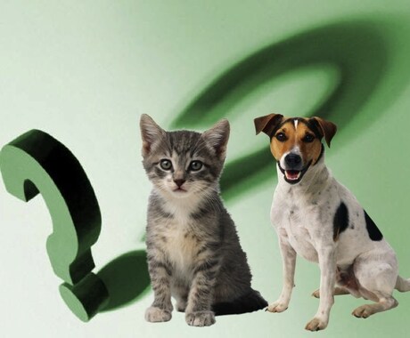 獣医師が犬猫との暮らしの疑問にお応えします 複数の動物診療施設に携わる現役獣医があなたの疑問に応えます！ イメージ2
