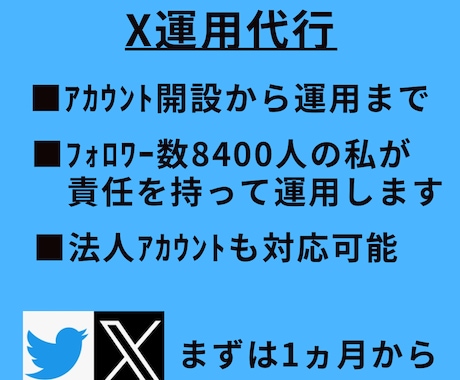 現役で運用中の私がXを1ヶ月運用代行します 丸投げでもちゃんと運用させて頂きます イメージ1