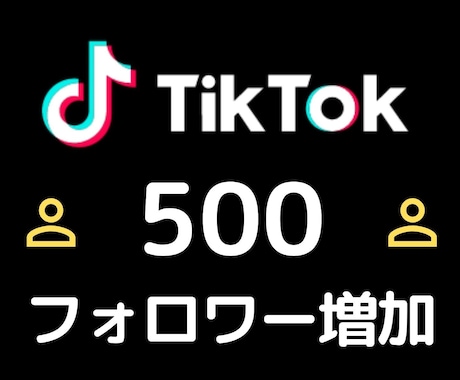 TikTokフォロワー+500になるよう宣伝します 1フォロワーあたり5円でご提供！追加オプションでさらにお得 イメージ1