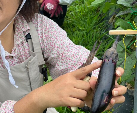 ナチュラル派野菜作りのお悩み相談にのります 10数年、有機・自然栽培で野菜作りをしてきた経験をお話します イメージ2