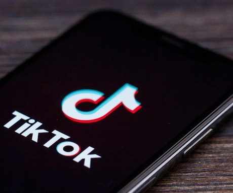 TikTokの★再生回数★拡散支援します 1000人から増加支援可能。収益化サポートします。 イメージ2