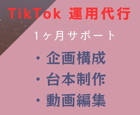 現役のTikTok万アカ運用者が運用代行いたします 集客・認知拡大・リクルート◇SNS初心者の方でも大歓迎！ イメージ1