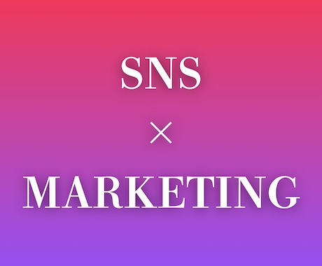 SNSマーケティング・運用の壁打ちをします プロのSNS戦略・マーケティングリサーチ関連アドバイス イメージ1