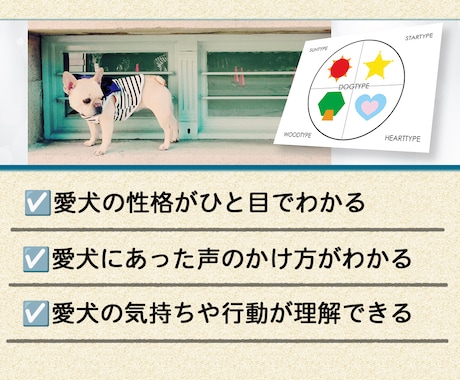 4タイプ別プチ診断⭐︎愛犬の性格診断します 性格タイプを知れば、愛犬の気持ちや行動がよくわかる！ イメージ2