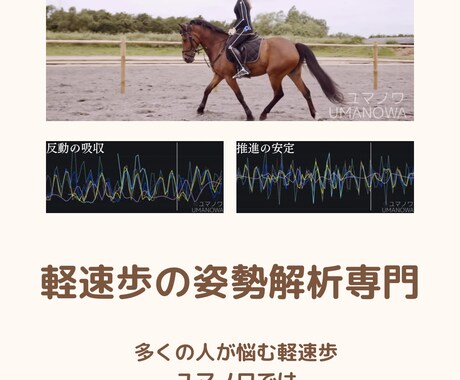 150-165㎝女性限定｜AI乗馬姿勢解析します あなたの姿勢を数値で可視化。AIと一緒に理想のフォームへ イメージ2