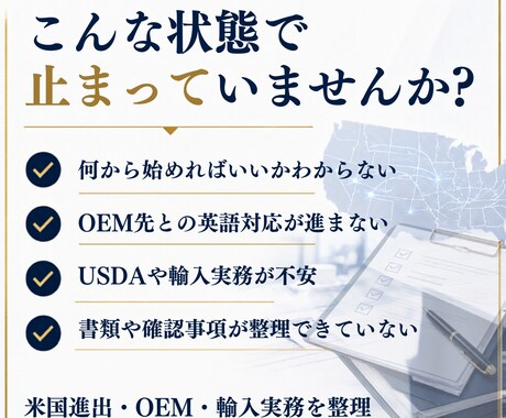 米国進出・OEMの詰まりを60分で整理します はじめての方にも安心！アメリカ市場での成功をお手伝い イメージ2