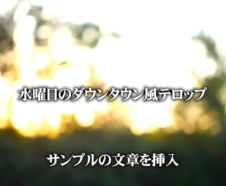 動画へ字幕、テロップを入れます あなたの編集作業をサポート！手間のかかる作業お任せください イメージ2