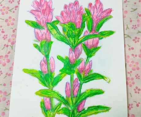 デッサンします 色鉛筆デッサンで、お花の絵をデッサンします。 イメージ1