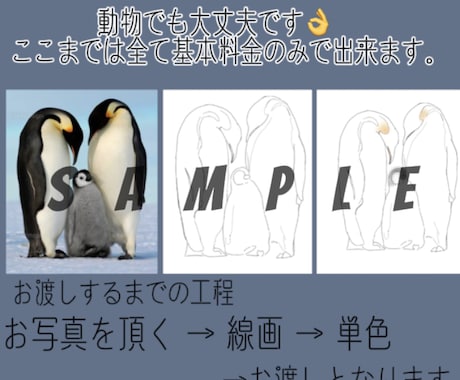 シンプルでオシャレなイラスト描きます あなたのお気に入りの写真をイラストにさせて頂きます！！ イメージ2