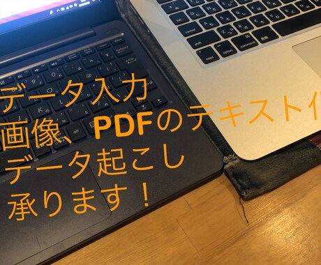 データ入力、画像、PDFのテキスト化致します エクセル作成、面倒な作業引き受けます！ご予算は相談可能！ イメージ1