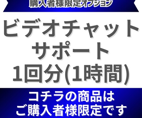 購入者様限定：ビデオチャットサポートします ビデオチャットサポート1回分（約1時間） イメージ1