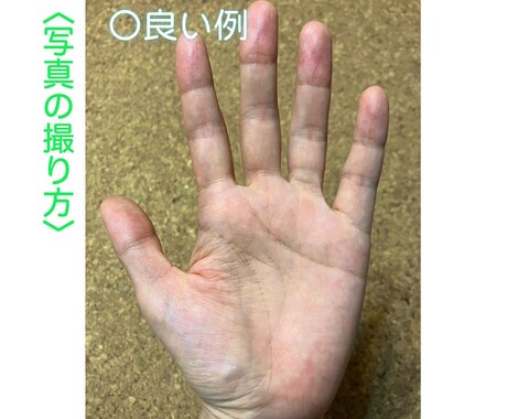 画像付きで、あなたの手相を丁寧に鑑定します 持って生まれた才能や特性を読み取り、詳しくお伝えします。 イメージ2