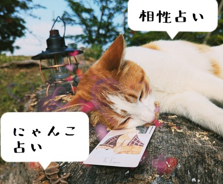 気になる人との相性をにゃんこが占います 気になる人や物とのご縁を占うにゃ✵恋・仕事・友情 イメージ1