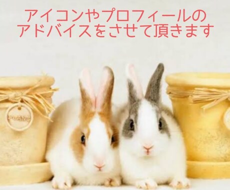 最大3日間♡アイコン、プロフのアドバイスします マッチングアプリなどのアイコンやプロフにアドバイスします♫ イメージ1