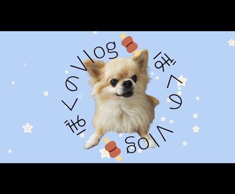 ペット専用！◎うちの子の思い出ムービーを作ります 毎日見たくなるうちの子ショートムービーをお届け！ イメージ1