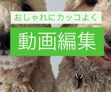 かっこよく！インタビュー/講座動画など編集承ります YouTube/PR動画等もおしゃれに編集させて頂き イメージ1