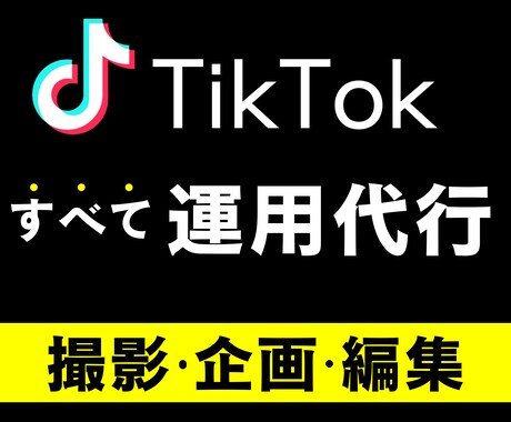全て込み込み　すべてのTikTok運用を行います ココナラ初の【結果にこだわった運用】 イメージ1