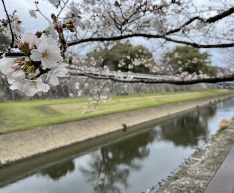 世界一優しい時間を提供させていただきます 悩み不安ストレス等、私に話して少しでも楽になりませんか？ イメージ1