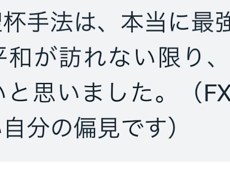 FXの理論上最強手法公開します 聖杯探しの長い旅はもうおしまい イメージ2