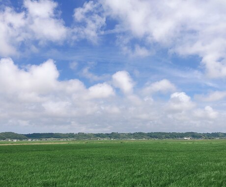 30分(*´︶`*)❤︎チャットで相談☆お話します 30分のあいだのやりとりで気軽にお話、ちょっと聞いて欲しい♡ イメージ2