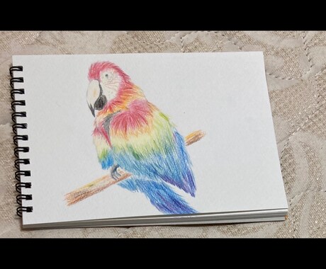 可愛いペットの似顔絵お描きします 色鉛筆を使って温かく柔らかな印象に仕上げます！ イメージ2