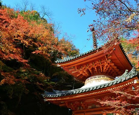 スタンダード｜ロケーション分析します 写真・動画・地図・断片的な情報から場所の分析します。 イメージ1