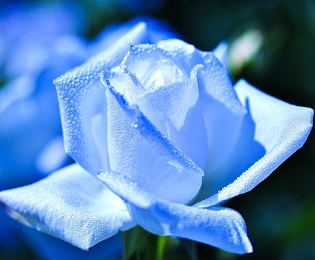 心豊かな日々へ⭐︎今 必要な3メッセージを贈ります キーポイント見つけて⭐︎あなたが あなたを大切にする日々⭐︎ イメージ2