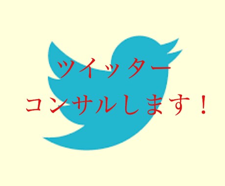 ツイッターでフォロワー数増加サポートします 初心者がフォロワーを増やす方法を丁寧に教えます！ イメージ1