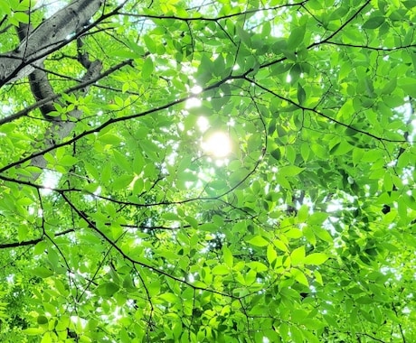 失恋・復縁のお気持ちを伺い、希望の方向へ導きます さぞお辛かったでしょう。ゆっくり吐き出してください。 イメージ1
