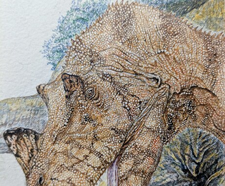 貴方の大好きで大切な動物やペットをペンで描きます 元飼育係が描く動物のイラスト貴方のお部屋にちょっとの潤いを イメージ2