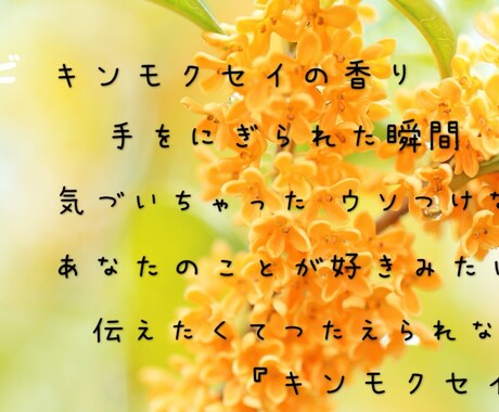 現役シンガーソングライターが作詞します ココロに語りかける詞から明るくポップな詞まで幅広く対応 イメージ2