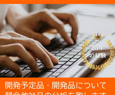 貴社オリジナル化粧品に対する競合品調査を行います 競合化粧品の開発事情・法規を踏まえた伝え方等を中心に纏めます イメージ2