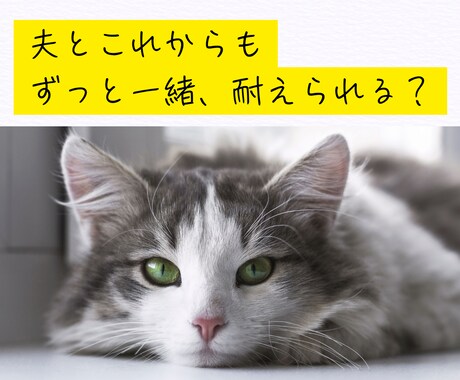 50代女性限定。夫の愚痴、何でも聞きます モヤモヤを抱えないで。“この年齢だから”話せることがあります イメージ2