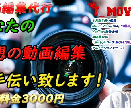 高品質の動画制作致します 企業案件～個人様まで多数のご依頼頂いております！ イメージ2