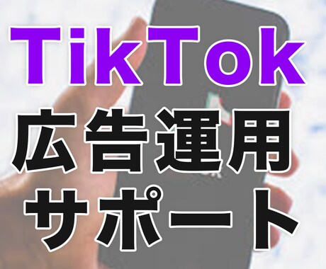 TikTok広告運用のアドバイスしますます 過去200人以上にアドバイス経験のあるWEBマーケターが対応 イメージ1