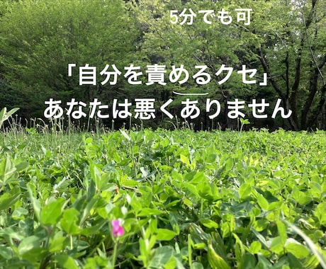 カウンセラーがあなたのインナーチャイルドを癒します 【自分を責めるクセ】もしかして幼少期に原因かも知れません イメージ1