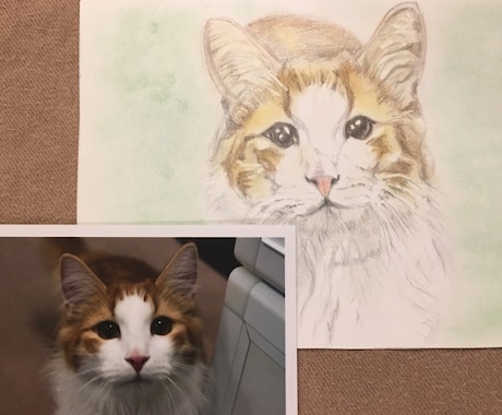 ペットのイラストをアナログで描きます 動物のイラストを色鉛筆やパステルで イメージ2
