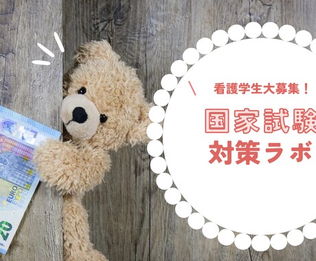 看護師国家試験対策の学習計画サポートします 計画倒れにならない学習計画を一緒に立案していきましょう！ イメージ2