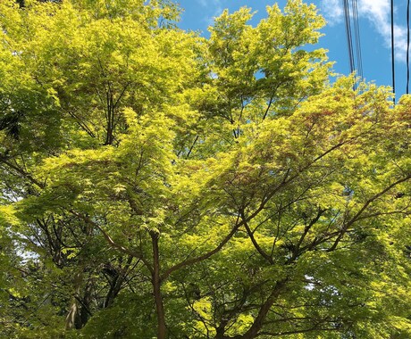 話すだけで楽になります！1分からでもお話し聴きます 職場、家族、友人関係にちょっと疲れた方 イメージ2