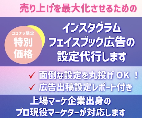 スクール・講座販売のプロがMeta広告設定します ROAS4666%の実績！広告×LP導線設計で売上を作ります イメージ1
