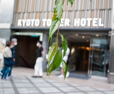 普通のエッセイが読みたいなら、他へお願いします 幅広い知見と独創的な視点を活かし、唯一無二の記事を執筆。 イメージ1