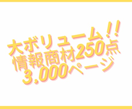 再販OK！250種の情報商材セットを全て提供します リライト・再配布自由！情報商材250点まとめて提供 イメージ2