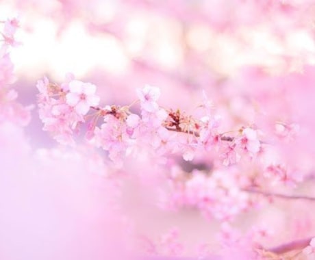 占いであなたのお悩み解決します タロットとオラクルカードの力であなたのお悩みを解決♡♡ イメージ1