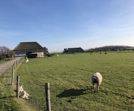 現地人がオランダ旅行、アムステルダム旅行提案します オランダ人と日本人の国際カップルがオランダ旅行を提案します！ イメージ2