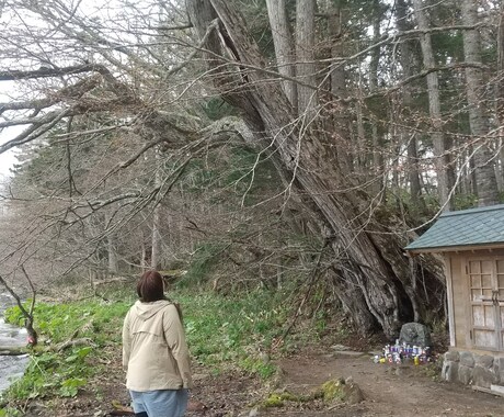 心のモヤモヤをお聞きしクライアントの傾聴しています 話したいことを話していただき、スッキリできれば嬉しいです。 イメージ2