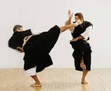 世界３位が◯〇寺拳法の演武を動画を見て指導します 過去に世界大会に入賞した経歴を活かし、動画を見て指導します。 イメージ1