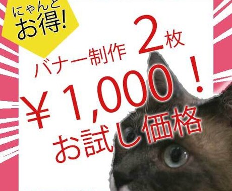 格安！バナーALLジャンルOKバナー制作します 1枚500円！　合計2枚　1000円　バナー イメージ1