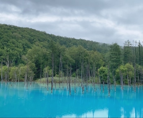 あなたのための北海道旅行プランを考えます 〜楽しい・美味しい・綺麗な北海道を紹介します〜 イメージ2