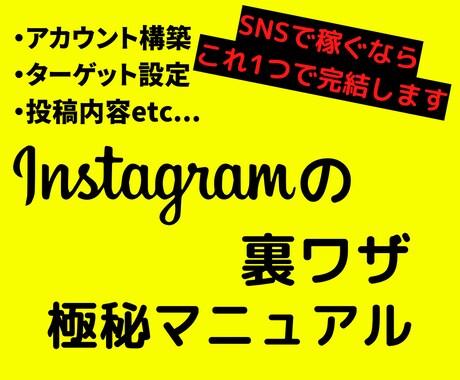 インスタグラムで稼ぐ極秘マニュアルを伝授します インスタノウハウでさまようのやめませんか？ イメージ1
