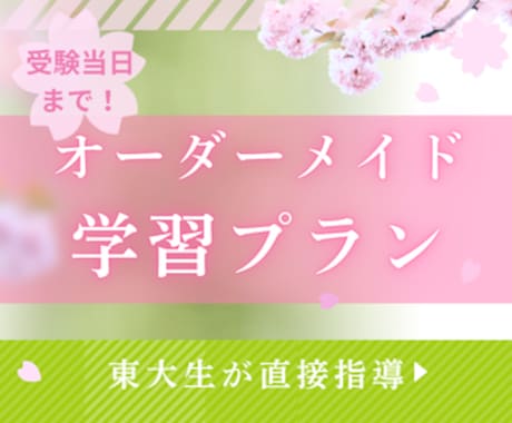 東大・塾講師があなただけのカリキュラムを作成します 予備校なし！市販の参考書を使った東大合格の知見を活かします！ イメージ1